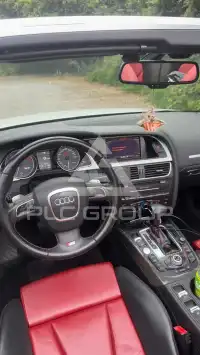 2010 Audi S5