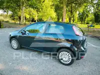 2010 Fiat Punto