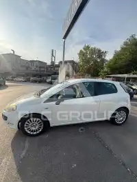 2010 Fiat Punto