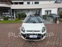 2010 Fiat Punto