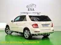 2010 Mercedes Benz ML 350