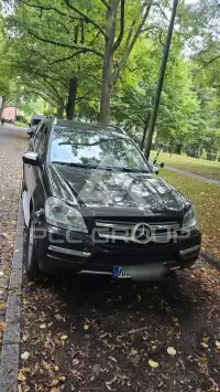 2010 Mercedes Benz GL 350
