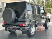 2010 Mercedes Benz G 350