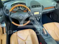 2010 Mercedes Benz SLK 300