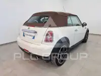2010 Mini Unknown