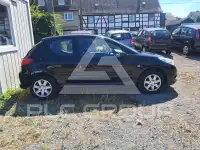 2010 Peugeot 206