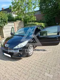 2010 Peugeot 206