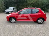 2010 Peugeot 206