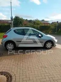 2010 Peugeot 207