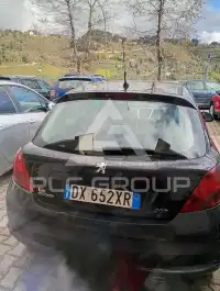 2010 Peugeot 207