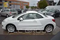 2010 Peugeot 207