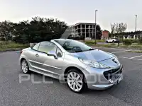 2010 Peugeot 207