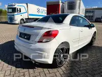 2010 Peugeot 207