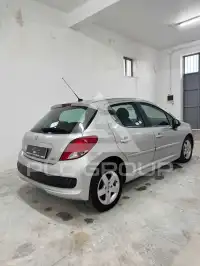 2010 Peugeot 207