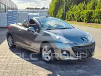 2010 Peugeot 207