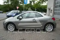 2010 Peugeot 207