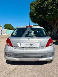 2010 Peugeot 207