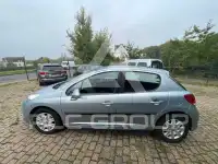 2010 Peugeot 207