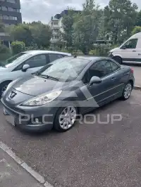 2010 Peugeot 207