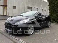 2010 Peugeot 207