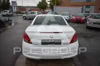 2010 Peugeot 207