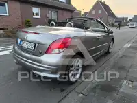 2010 Peugeot 207