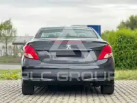 2010 Peugeot 207