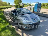 2010 Peugeot 207