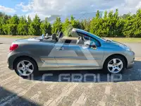 2010 Peugeot 207