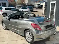 2010 Peugeot 207