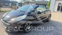 2010 Peugeot 207