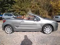 2010 Peugeot 207
