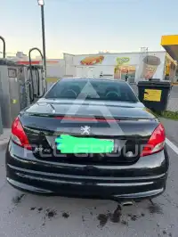 2010 Peugeot 207