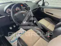 2010 Peugeot 207