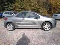2010 Peugeot 207