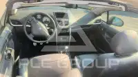 2010 Peugeot 207