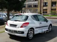 2010 Peugeot 207