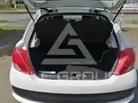2010 Peugeot 207