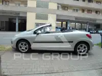 2010 Peugeot 207