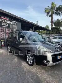 2010 Peugeot Partner