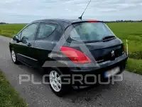 2010 Peugeot 308