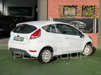 2010 Ford FIESTA