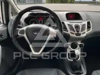 2010 Ford FIESTA