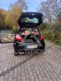 2010 Ford KA