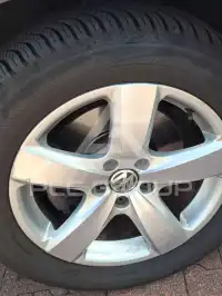2010 Volkswagen Tiguan