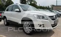 2010 Volkswagen Tiguan