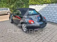 2010 Volkswagen BEETLE