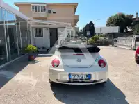 2010 Volkswagen BEETLE