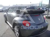 2010 Volkswagen BEETLE