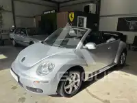 2010 Volkswagen BEETLE